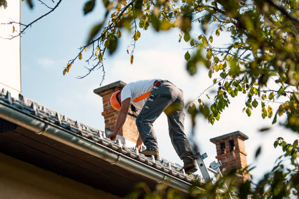 Best Commercial Roofing Services  in Warminster Heights, PA