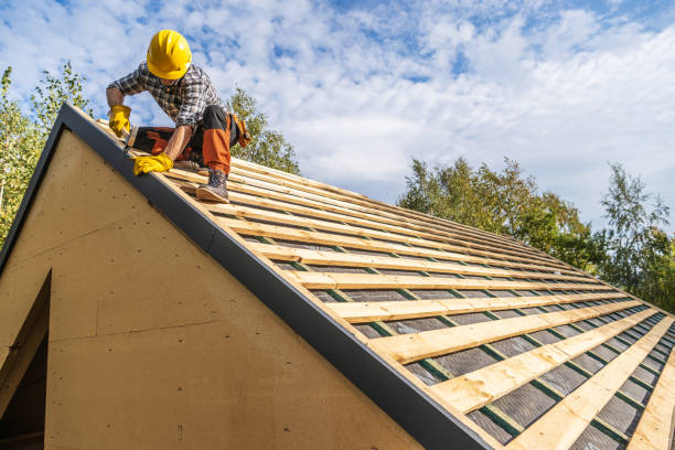 Best Roof Repair Services  in Warminster Heights, PA
